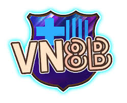 VN8B